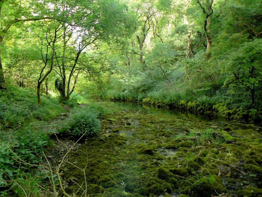 River Lathkill River Lathkill